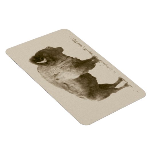 Plains Bison Magnet (Rechte Seite)
