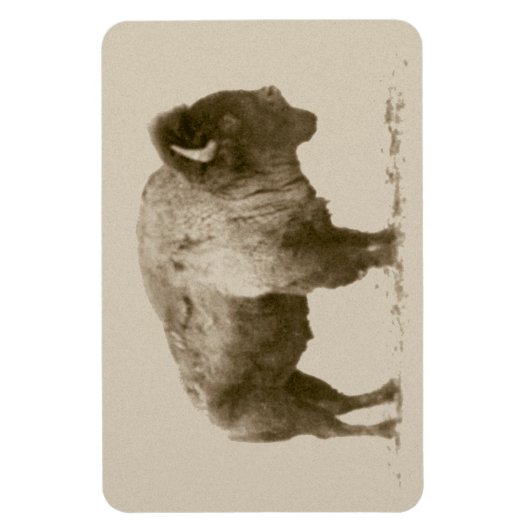 Plains Bison Magnet (Vertikal)
