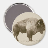 Plains Bison Magnet (Vorderseite/Rückseite)