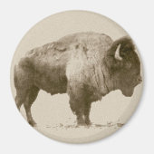 Plains Bison Magnet (Vorne)