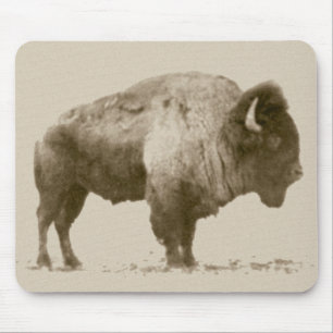 Plains Bison Mousepad