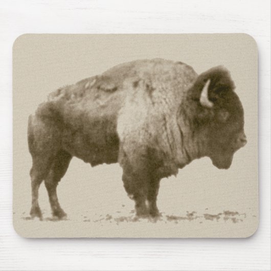 Plains Bison Mousepad (Vorne)