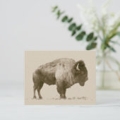 Plains Bison Postkarte (Stehend Vorderseite)