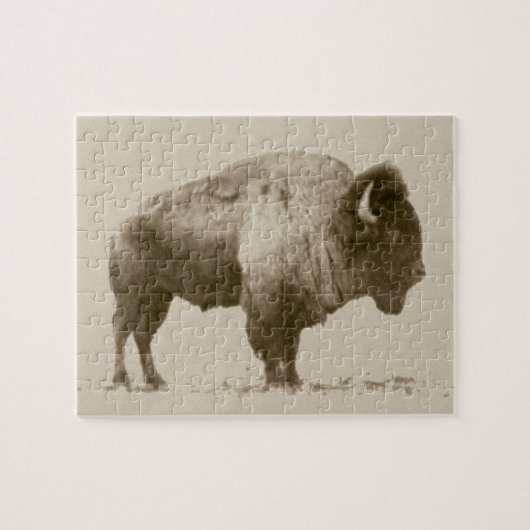 Plains Bison Puzzle (Horizontal)
