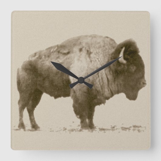 Plains Bison Quadratische Wanduhr (Vorderseite)