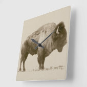 Plains Bison Quadratische Wanduhr (Winkel)
