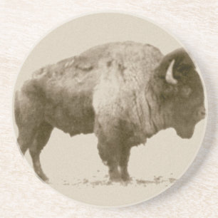 Plains Bison Sandstein Untersetzer
