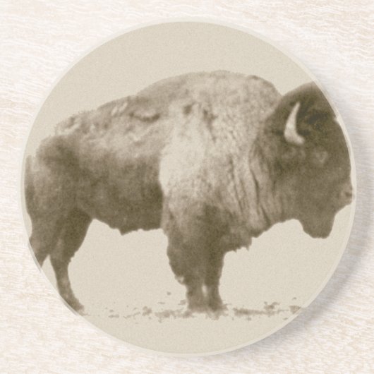 Plains Bison Sandstein Untersetzer (Vorne)
