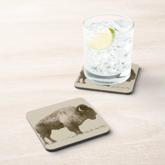 Plains Bison Untersetzer (Rechte Seite)