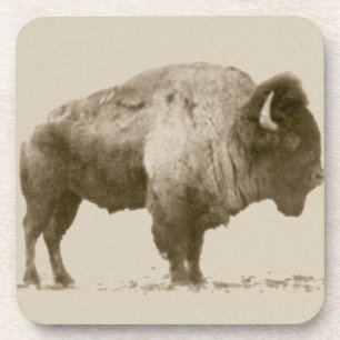 Plains Bison Untersetzer