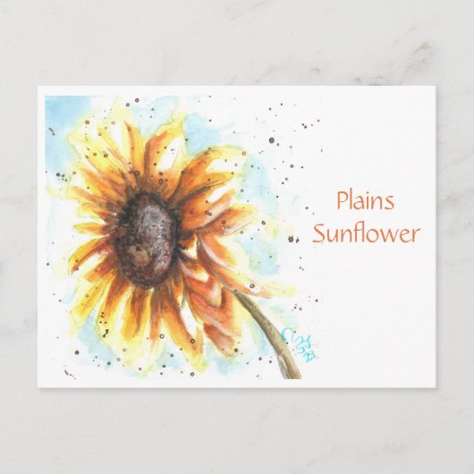 Plains Sunflower Post Card Postkarte (Vorderseite)