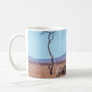 Plains zebra in Kruger National park, South Africa Kaffeetasse