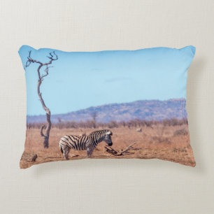 Plains zebra in Kruger National Park, Südafrika Dekokissen