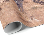 Plains zebra in Kruger National Park, Südafrika Geschenkpapier (Rolleneckpunkt)