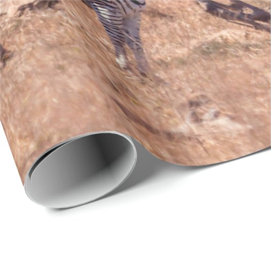 Plains zebra in Kruger National Park, Südafrika Geschenkpapier (Rolleneckpunkt)