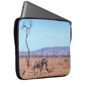 Plains zebra in Kruger National Park, Südafrika Laptopschutzhülle (Vorne Rechts)