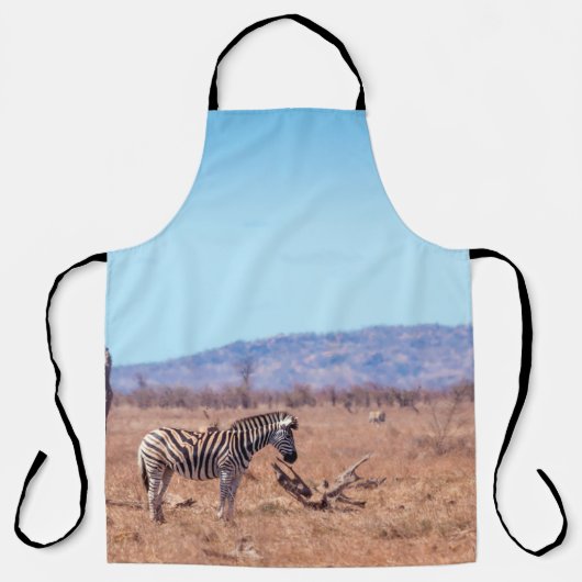 Plains zebra in Kruger National Park, Südafrika Schürze (Vorderseite)