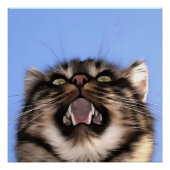 Plaintive Form einer Tablettenkiste Acrylmalerei Poster (Vorderseite)