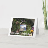 Plainville Freitag Abend ChipsII Karte (Vorderseite)