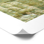 Plakat (Ecke)