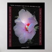 Plakat (Vorne)