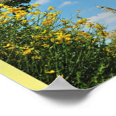 Plakat (Ecke)