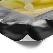 PLAKAT 14x11, gelbe Blume (Ecke)