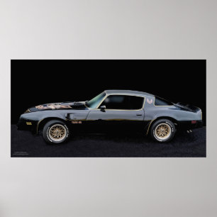 PLAKAT 1978 TA 6,6 TRANSAM