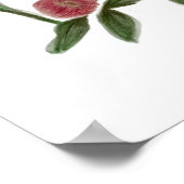 Plakat Aquarell Blumendesign (Ecke)