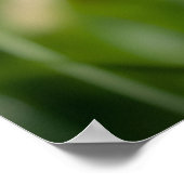 Plakat "Bee autifull" (Ecke)