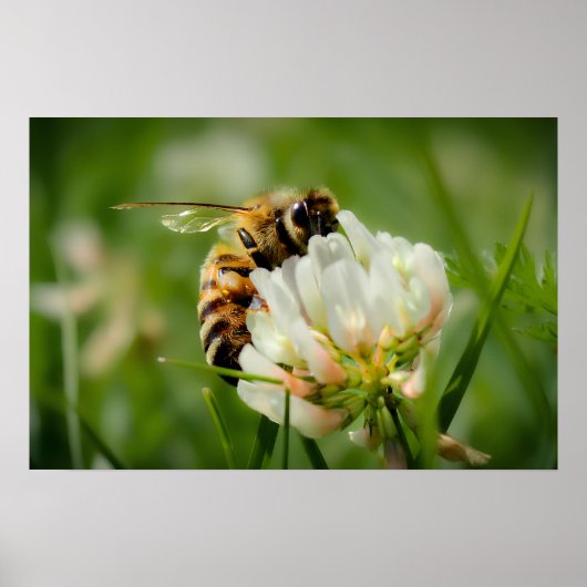 Plakat "Bee autifull" (Vorne)