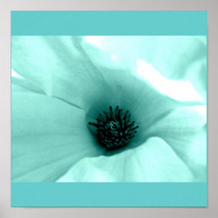 Plakat-Blume-Gemalte Blumen 4 Poster