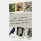 Plakat Burbank Lake Bird Collage – Acrylschild (Winkel)