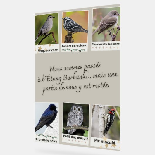 Plakat Burbank Lake Bird Collage – Acrylschild (Winkel)