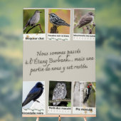 Plakat Burbank Lake Bird Collage – Acrylschild (Neutral)