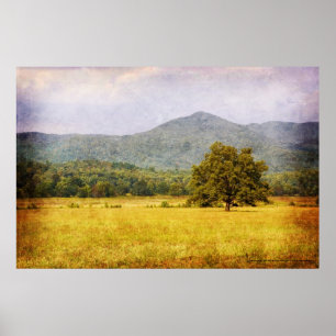 Plakat - Cades Bucht-Baum - großer rauchiger Mt.