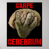 Plakat "CARPE CEREBRUM" (Vorne)