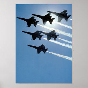 Plakat der blauen Engel
