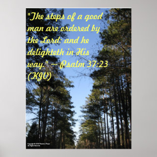 Plakat der Inspirationsbibel - Psalm 37:23