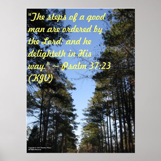 Plakat der Inspirationsbibel - Psalm 37:23 (Vorne)