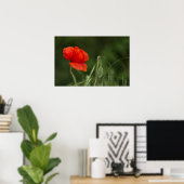 Plakat der Mohnblume - Einsame Grazie (Heimbüro)
