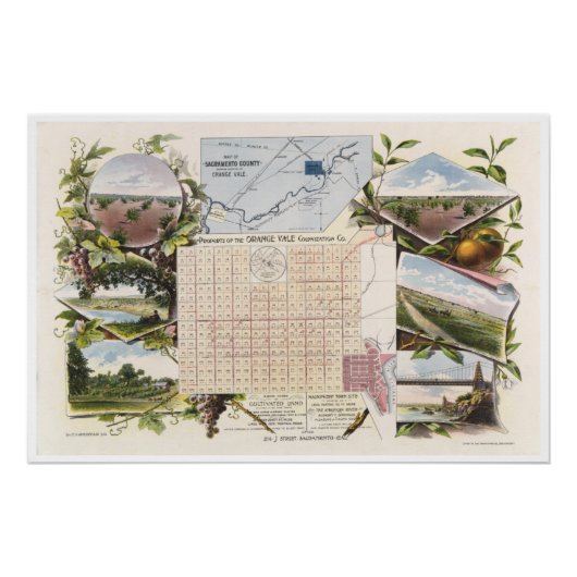 Plakat der Orange Vale Colony 1895 Poster (Vorderseite)
