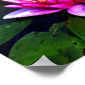 Plakat des Lotus am frühen Morgen (Ecke)