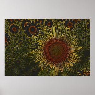 Plakat des Sonnenblume-Feld-6 x 24