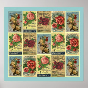 PLAKAT ~DESIGNED VOM VINTAGEN ROSEN-KULTUR-FÜHRER