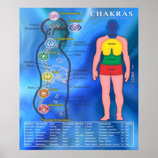 Plakat die Chakras und seine Verbindungen (Vorne)