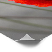 Plakat Die Rote Mohnblume (Ecke)