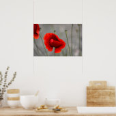 Plakat Die Rote Mohnblume (Küche)