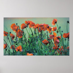 Plakat-Druck der Mohnblumen-Nr. 4%-pipe% Poster