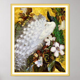 Plakat-Druck: Weißer und blauer Pfau Poster